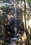 白藤の滝