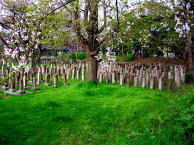 真田山公園内の陸軍墓所