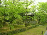 鹿苑寺の庭