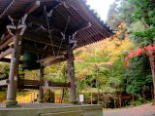 紅葉の今熊野観音寺