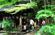 梨木神社の染井