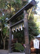 野宮神社の黒木の鳥居