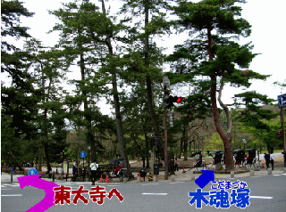 東大寺への道