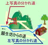 「椋の木への地図」