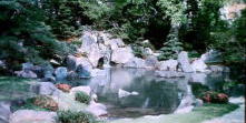 四天王寺・極楽浄土の庭